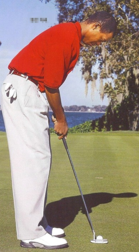 Tiger Woods putting image 